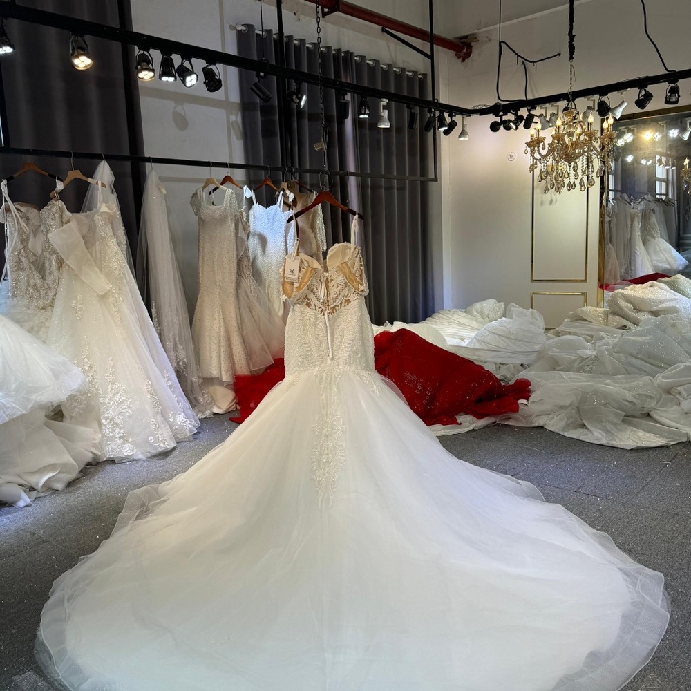 Amanda Novias Wedding Dress - Picture 4 of 4